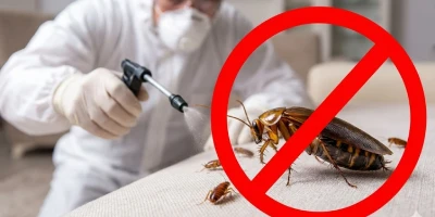Cockroach Control