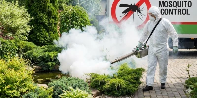 Mosquito Control