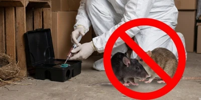 Rodent Control