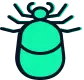 Bed Bug Control