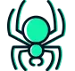 Spider Control