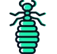 Termite Control