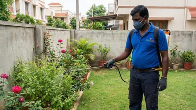 Pest Control Services in Sirsa