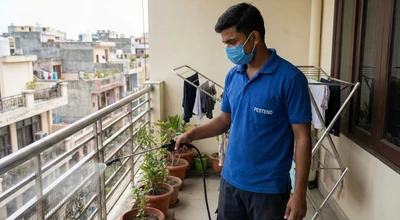 Pest Control in Chomu