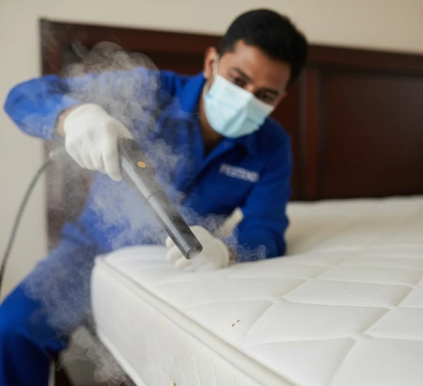 pest control in amreli