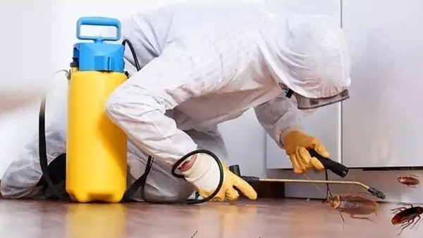 Pest Control Services in sikar